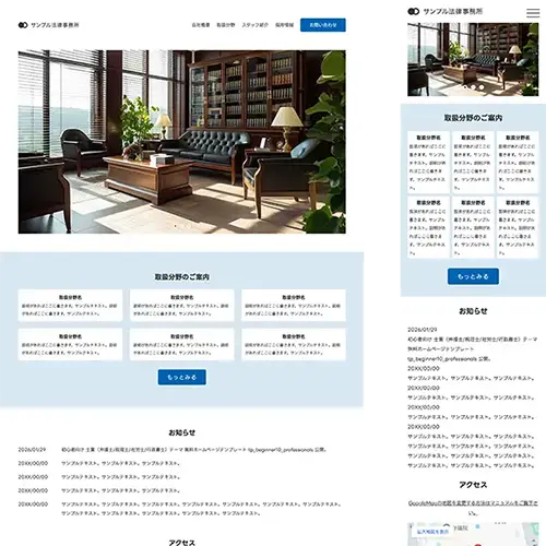 beginner10_professionals