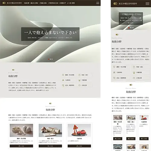 professionals1_brown_slide