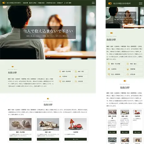 professionals1_green_slide