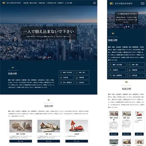 professionals1_navy_slide