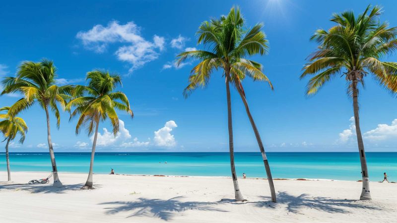 タイトルを入れます