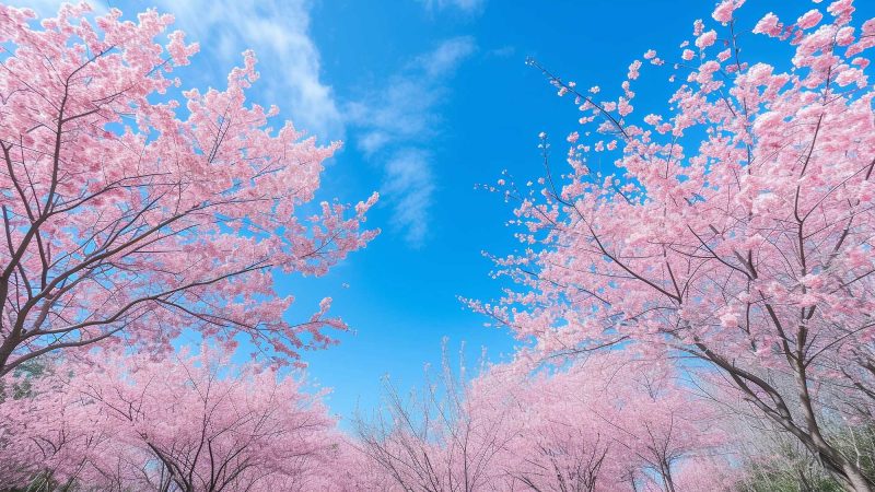 アクティビティスポット