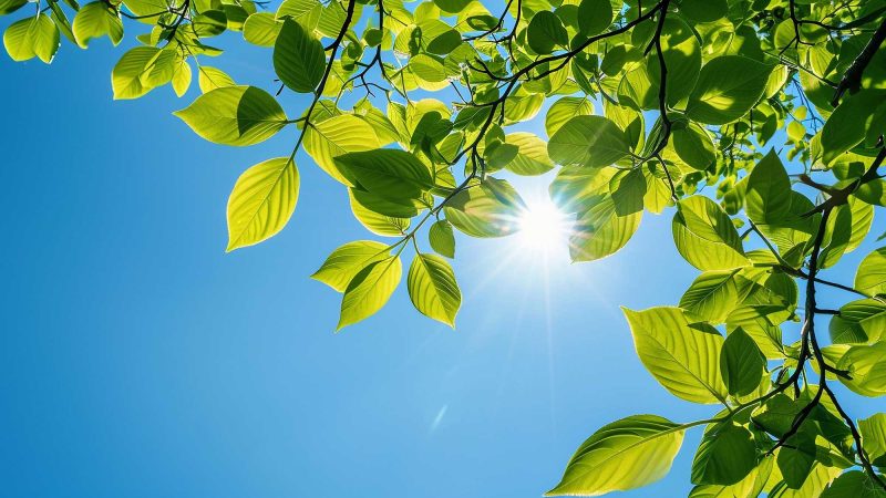 アクティビティ２